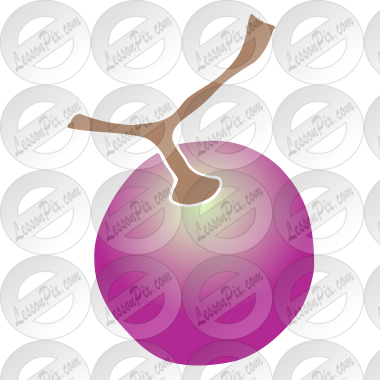 Grape