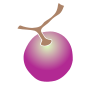 Grape  Stencil