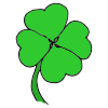 Shamrock Picture