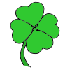The+shamrock+is+... Picture