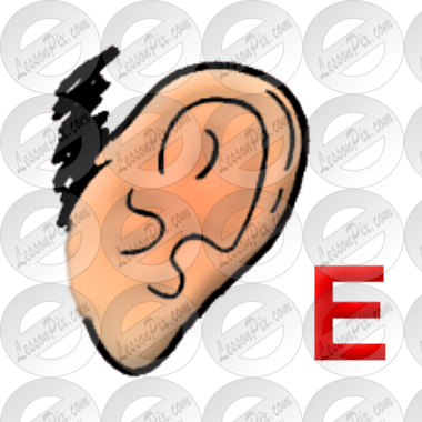 Ear