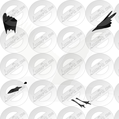 Seagull