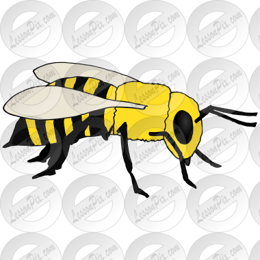Bee
