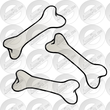 Bones