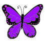 Butterfly  Picture