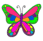 Butterfly  Picture
