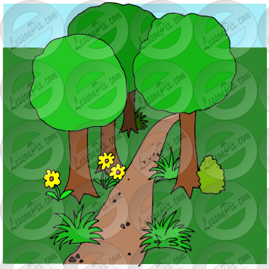 Dirt Path