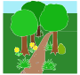 Dirt Path