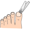 Clip Toenails