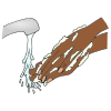 6. Rinse hands