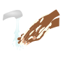 Wash