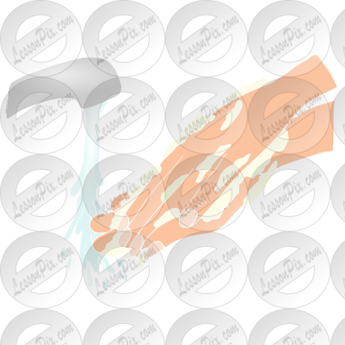 Wash