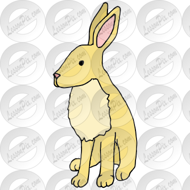 Hare