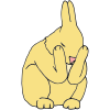 Hare