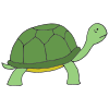 Tortoise+went+slow. Picture