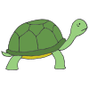Tortoise