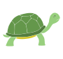 Tortoise Stencil