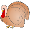 Turkey Picture