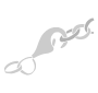 Clasp