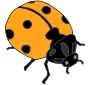 Ladybug