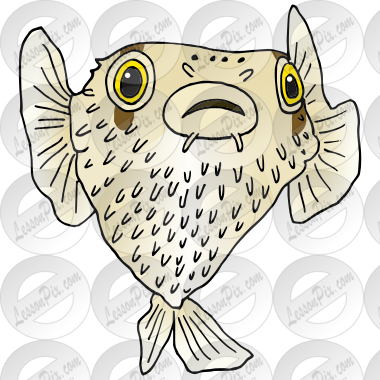 Pufferfish