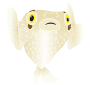 Pufferfish