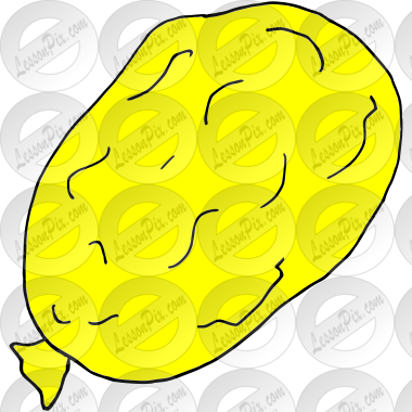 Stress Balloon