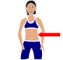 Waist