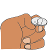 Flip Coin