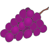 %28purple%29+grapes Picture
