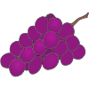 Grapes