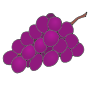 Grapes  Picture