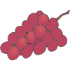 Grapes