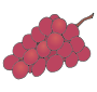 Grapes  Picture