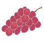 Grapes  Stencil