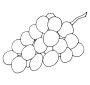 Grapes  Outline