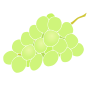 Grapes  Stencil