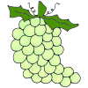 Grapes Picture