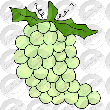 Grapes
