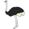 Run+like+an+Ostrich Picture