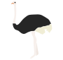 Ostrich  Stencil