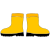 pair