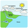 Water Cycle Picture