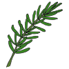 Sprig