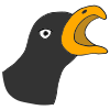 Squawk