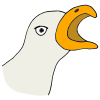 Squawk