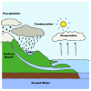 Water Cycle Picture