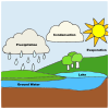 Water Cycle Picture