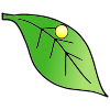 Egg