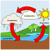 Water Cycle